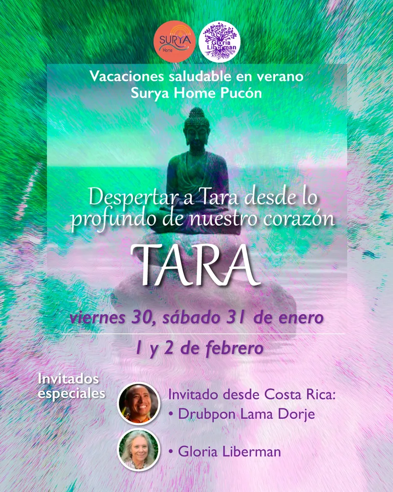 Gráfica del taller Despertar a Tara